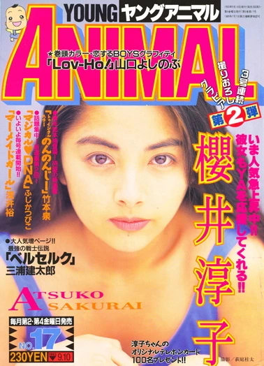 Cover of Issue #199317