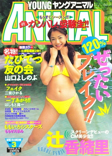 Cover of Issue #199603