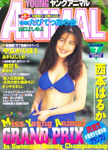 Cover of Issue #199607