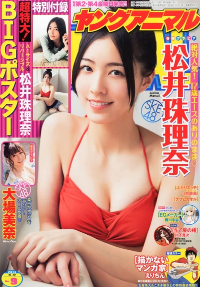 Cover of Issue #201409