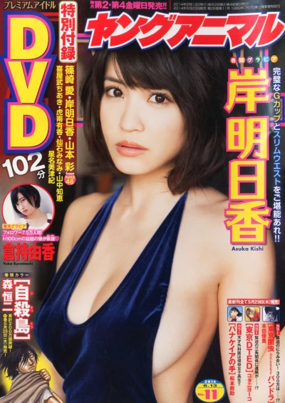 Cover of Issue #201411