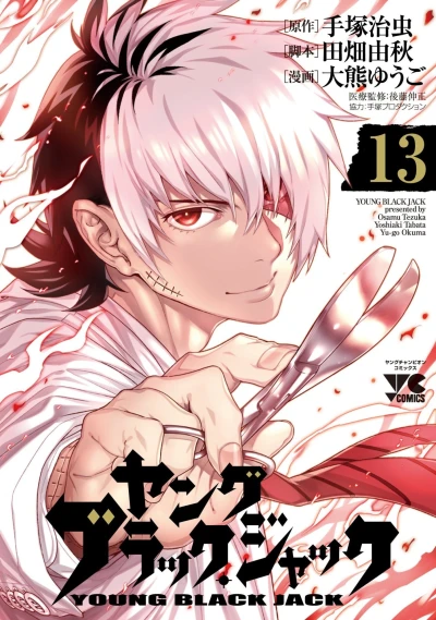 Cover of Vol. 13