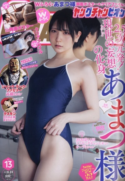 Cover of No. 13, 2020