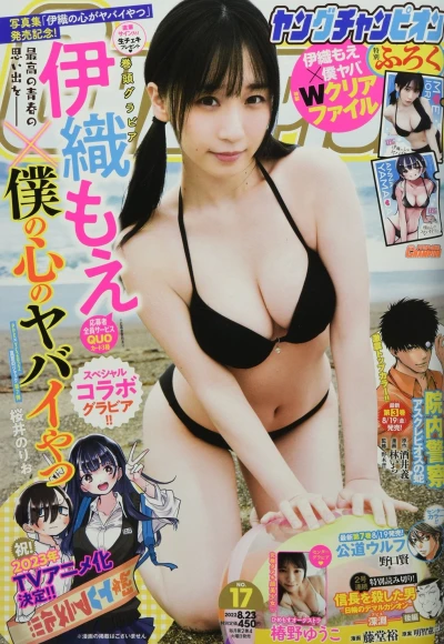 Cover of No. 17, 2022