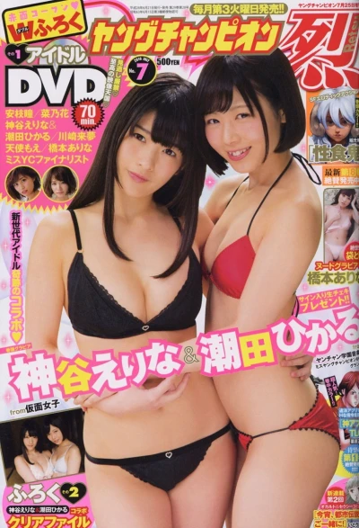 Cover of No. 7, 2016