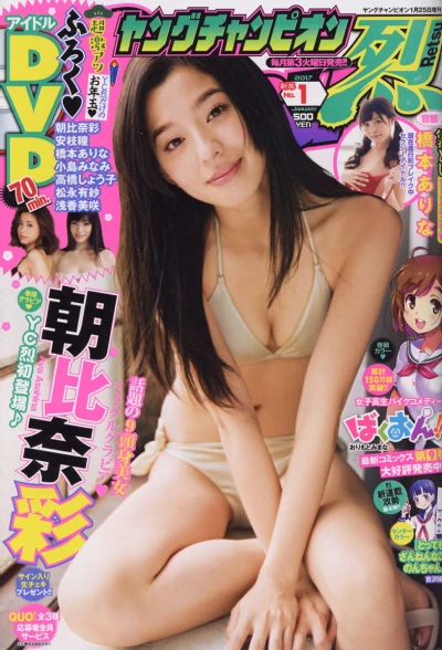 Cover of No. 1, 2017