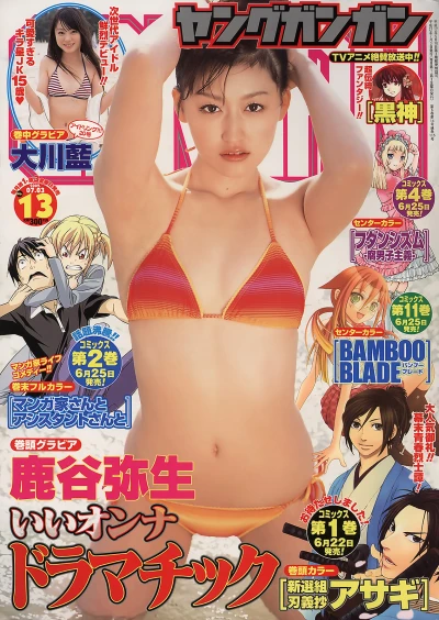 Cover of No. 13, 2009