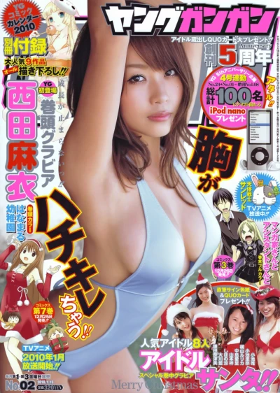 Cover of No. 2, 2010