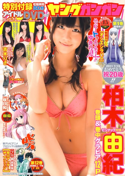Cover of No. 15, 2011