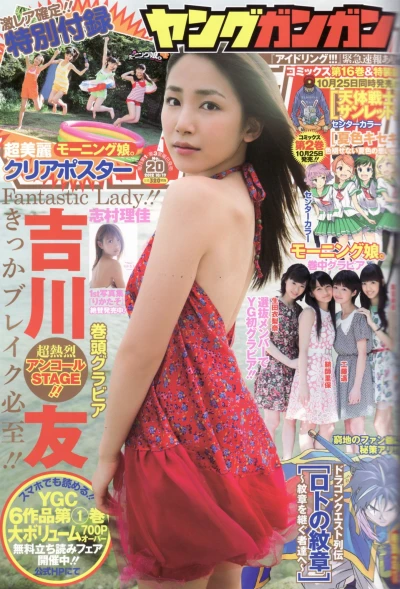 Cover of No. 20, 2012