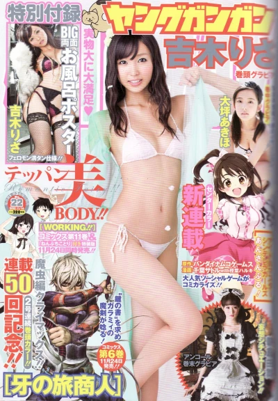 Cover of No. 22, 2012