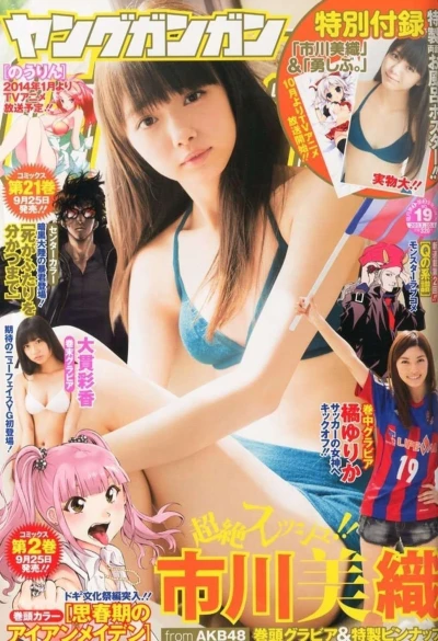 Cover of No. 19, 2013