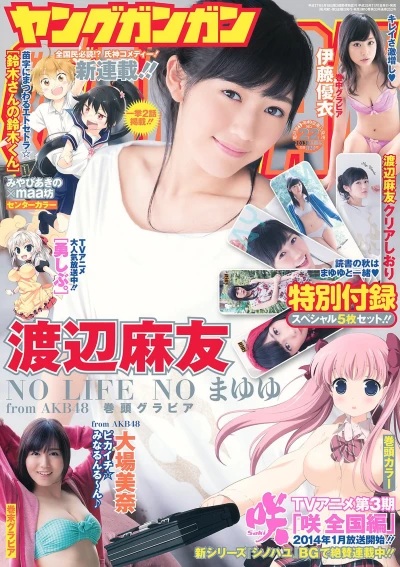 Cover of No. 22, 2013