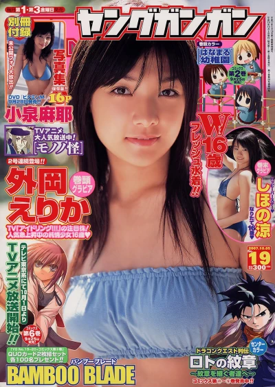 Cover of No. 19, 2007