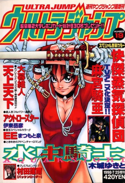 Cover of Number 19