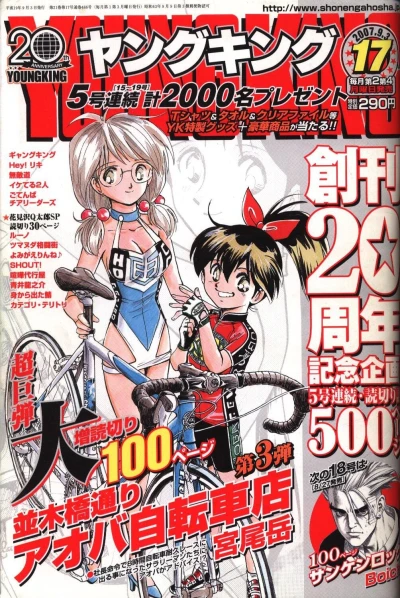 Cover of No. 17, 2007
