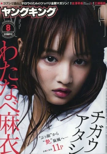 Cover of No. 8, 2017