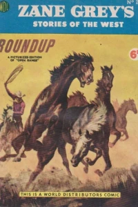 Roundup