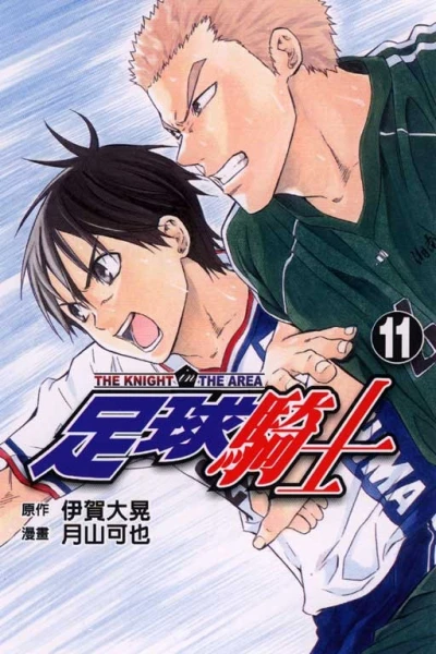 Cover of Vol. 11