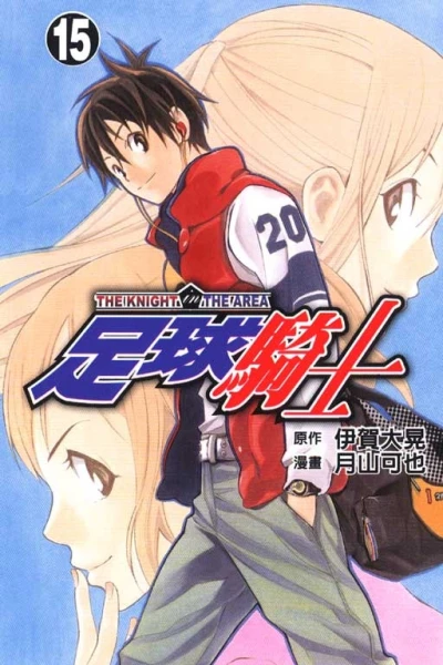 Cover of Vol. 15
