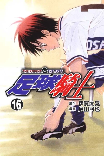 Cover of Vol. 16