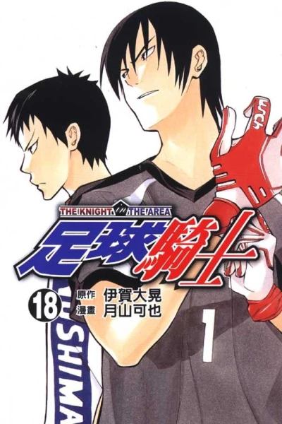 Cover of Vol. 18