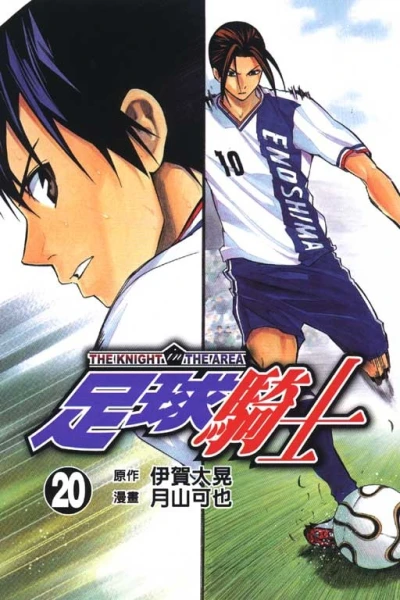 Cover of Vol. 20