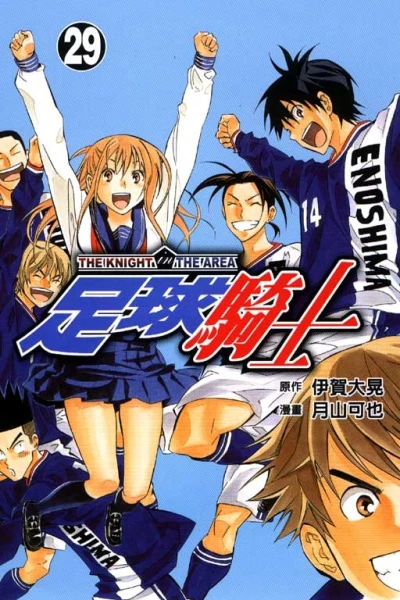 Cover of Vol. 29