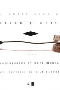 A Small Book of Black & White Lies