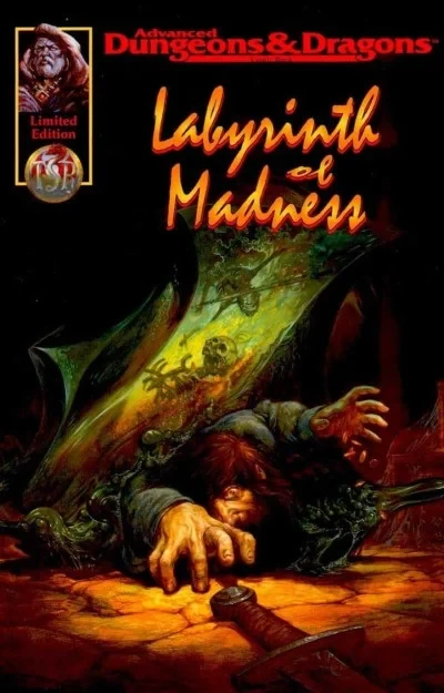Advanced Dungeons & Dragons: Labyrinth of Madness