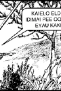 African Picture Gospel