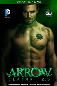 Arrow: Season 2.5