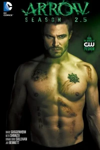 Arrow: Season 2.5