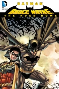 Batman: Bruce Wayne - The Road Home