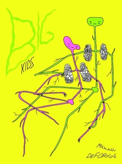 Big Kids (Hardcover, 2016) - Series 