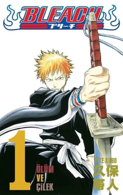 Bleach - Series 