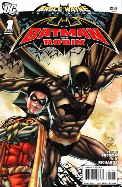 Bruce Wayne: The Road Home: Batman and Robin