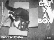 Cat in a Box