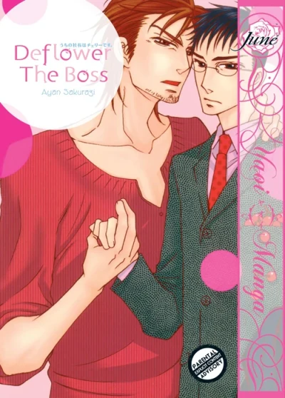 Digital Manga Publishing