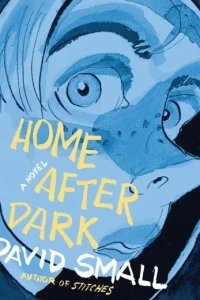 Home After Dark: A Novel