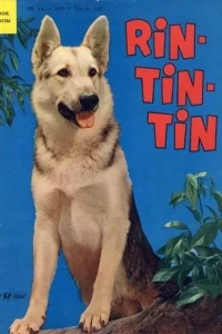 Lassie Ekstra Rin-Tin-Tin
