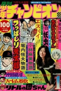 Monthly Shonen Champion