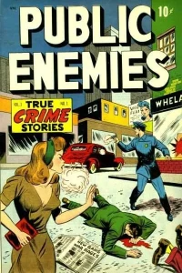Public Enemies