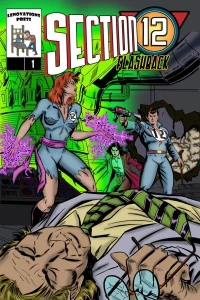 Section 12 (Flashback)