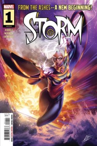 Cover of Storm (2024)