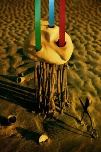 The Particle Tarot: The Minor Arcana