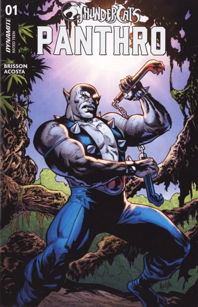 Thundercats Panthro