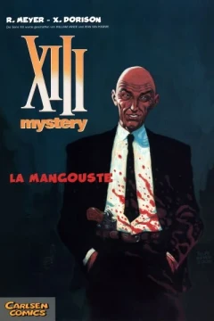 XIII Mystery