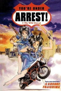 You're Under Arrest: The Wild Ones