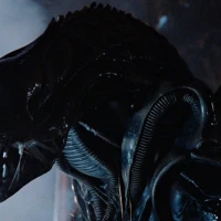 Aliens (Xenomorphs)